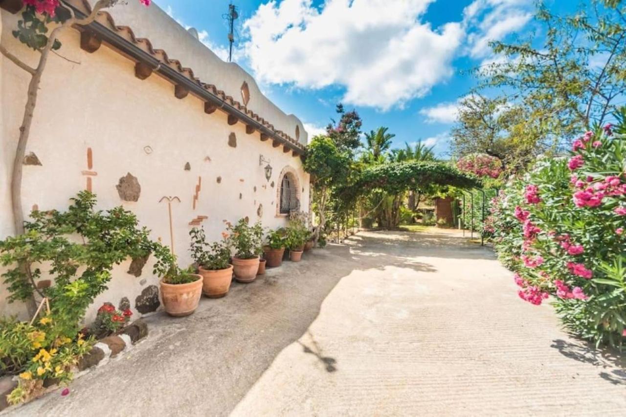 Villa Con Immenso Giardino โอโรเซย ภายนอก รูปภาพ